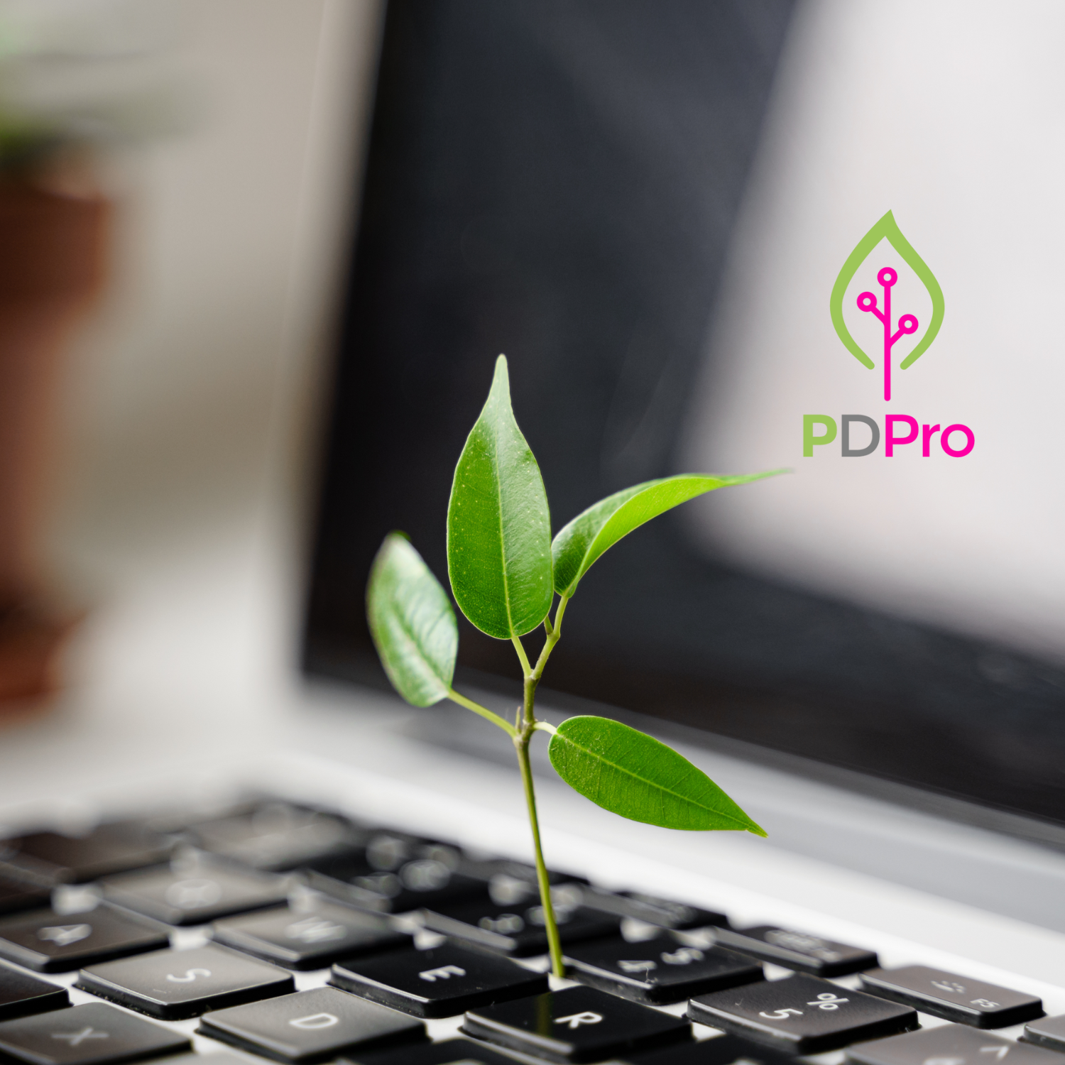 PDPro Green Technology Gadgets & Accessories