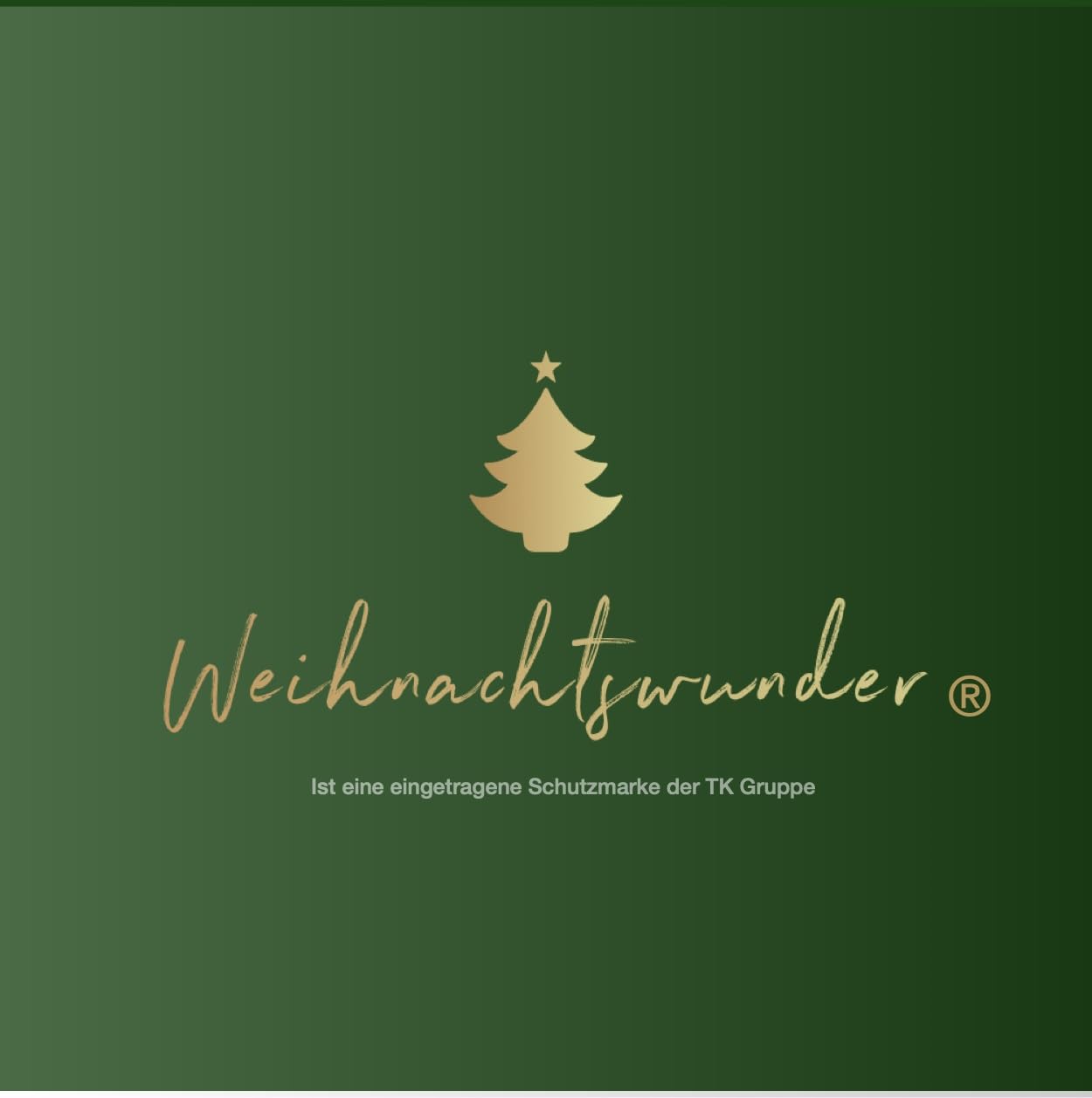 Das ultimative Weihnachtswunder: Weihnachtswunder® 12x XXL-Geschenktüten by PDPro