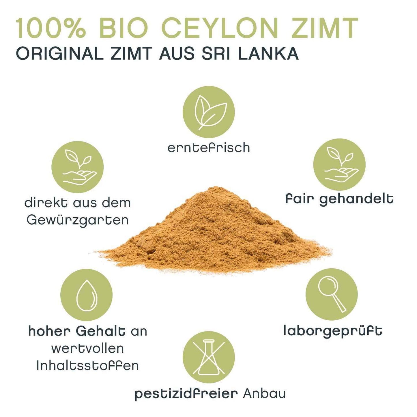 100% Organic Ceylon Cinnamon Powder from Sri Lanka by PDPro