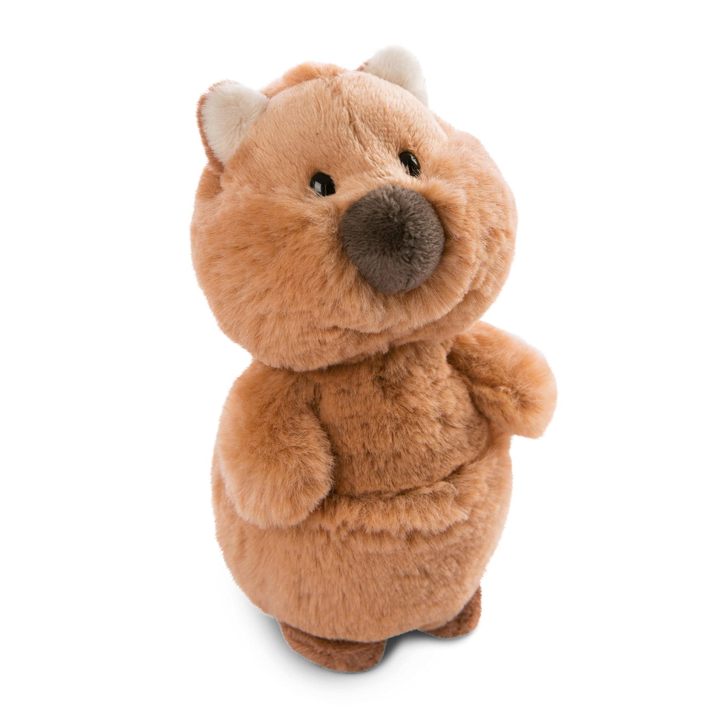 NICI Cuddly Toys Quokka-Mola 22 cm – Sustainable Plush Toy for Kids by PDPro – Your New Cuddle Buddy!