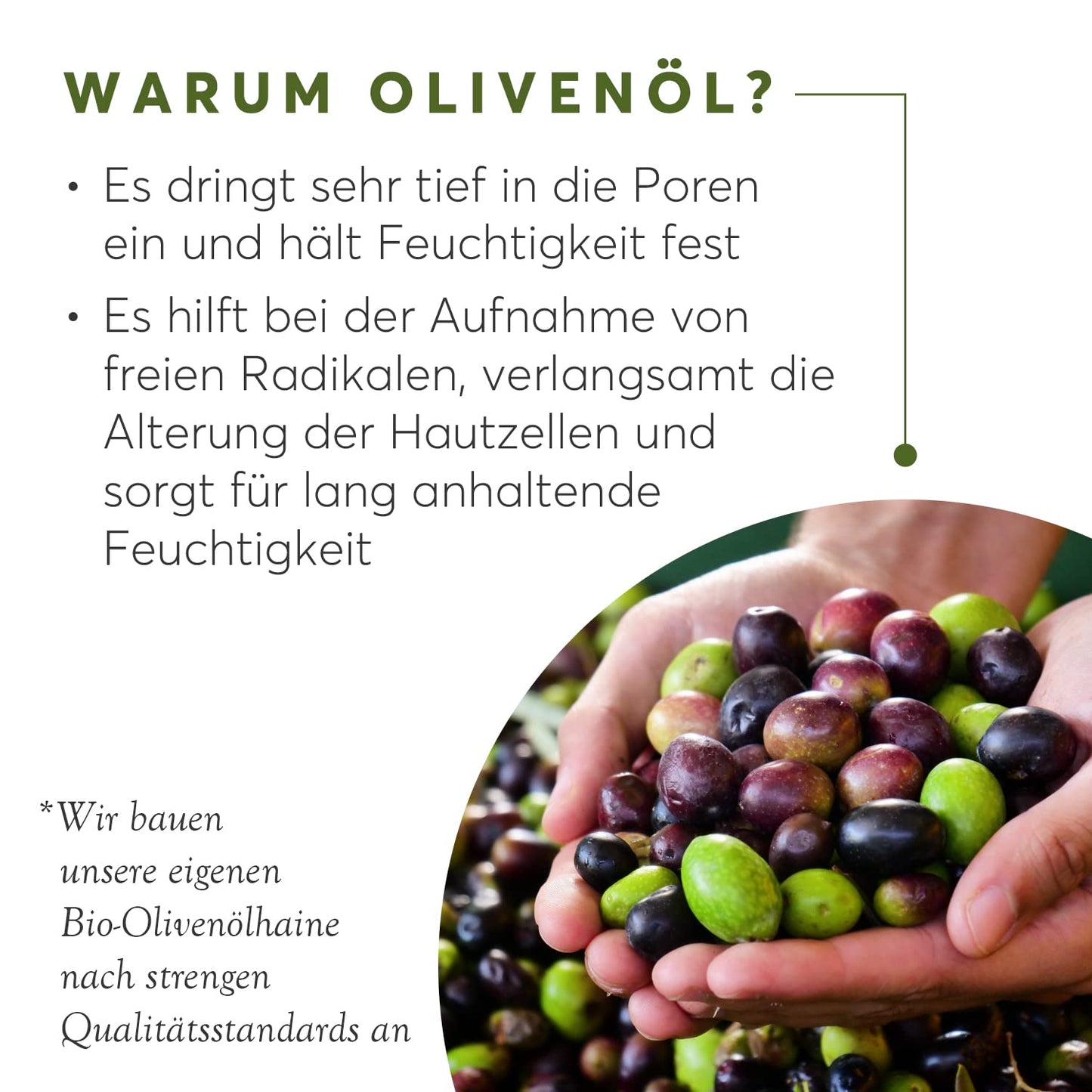 Sapone all'olio d'oliva Afrodite: cura della pelle pura ispirata alla natura by PDPro