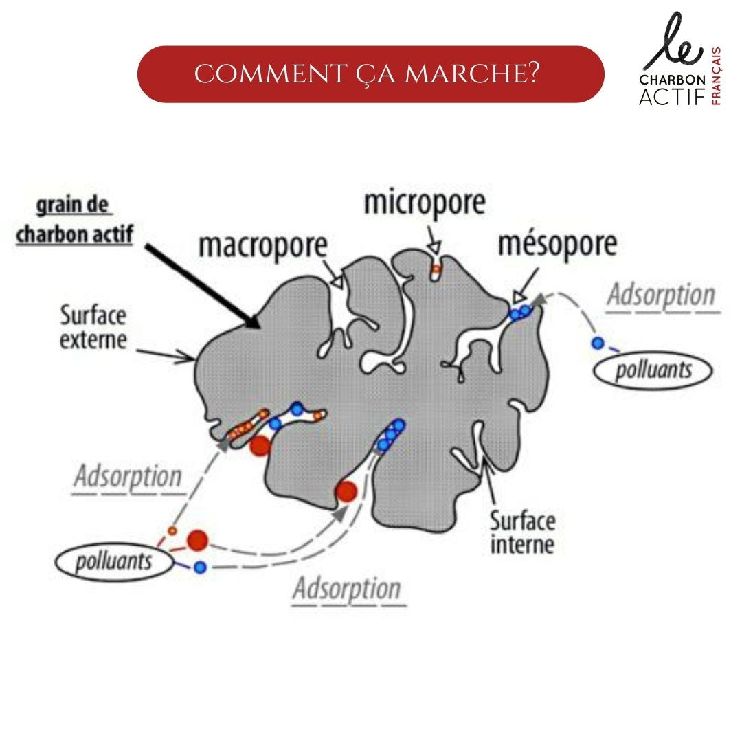 Lot de 4 filtres à gourde nomades au charbon végétal super activé-4