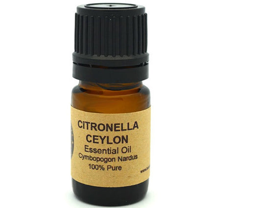 Citronella Essential Oil (Ceylon) 15 ml by PDPro