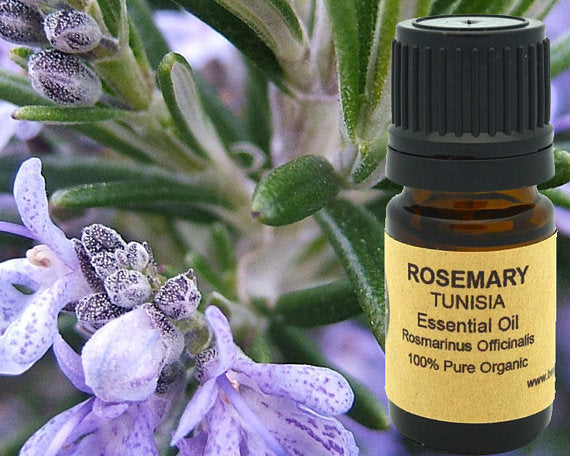 Rosemary Essential Oil (Organic) 15ml by PDPro