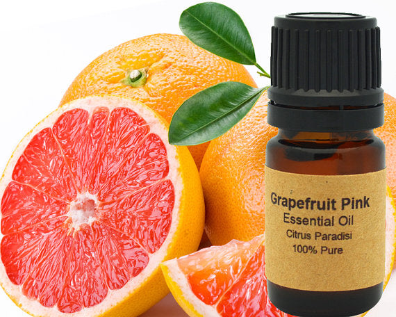 Grapefruit Essential Oil (Pink) 15 ml by PDPro