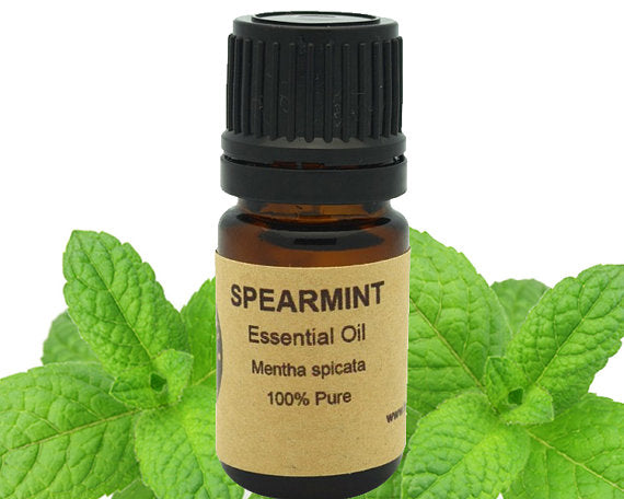 Spearmint Essential Oil 15 ml by PDPro