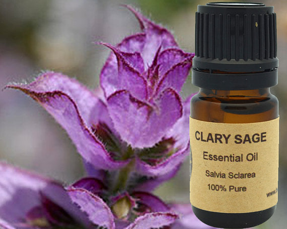 Clary Sage Essential Oil 15 ml by PDPro