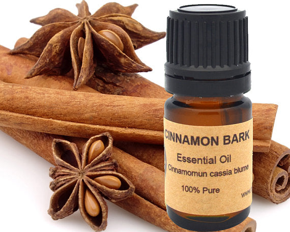 Cinnamon Bark Essential Oil 15 ml by PDPro