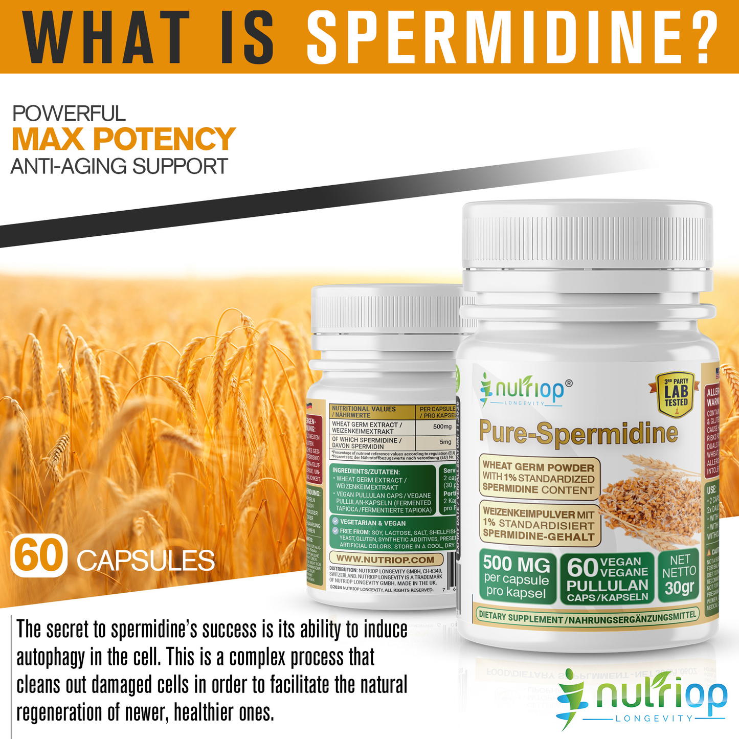 Nutriop® Pure Spermidine - Max Potency -10mg - 30 servings-4